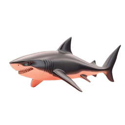 Shark
